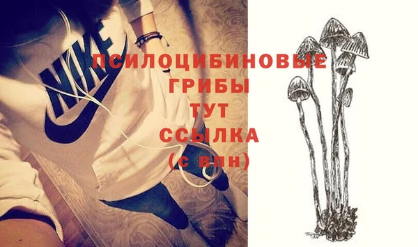 а пвп мука Алексин