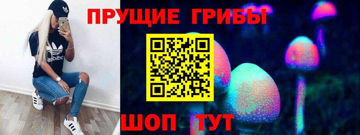 Псилоцибиновые грибы Psilocybine cubensis  Вход с VPN  Светлоград  Псилоцибиновые грибы Cubensis 