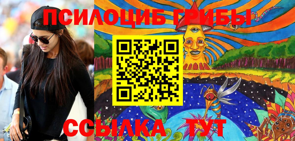 Галлюциногенные грибы Psilocybine cubensis Светлоград