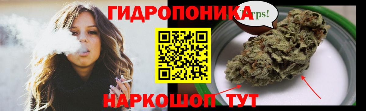 Каннабис Bruce Banner Светлоград
